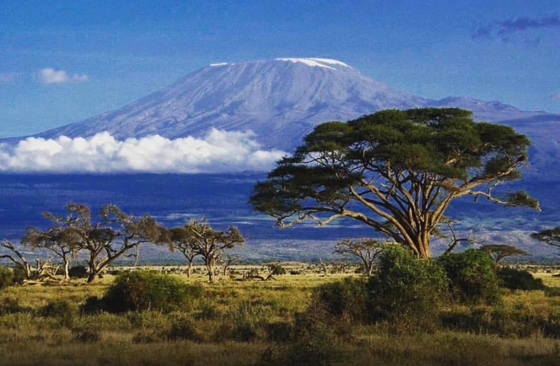 Парк горы Килиманджаро Танзания